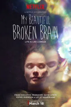 poster film My Beautiful Broken Brain