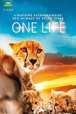 poster film One Life