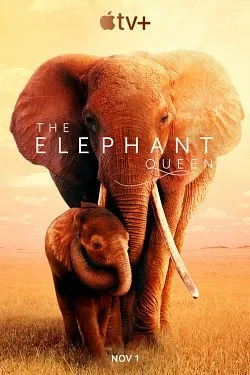 poster The Elephant Queen