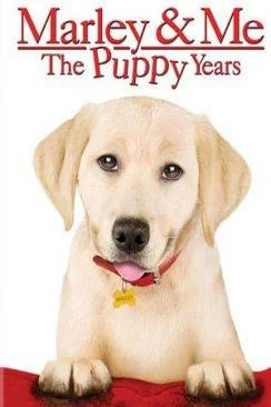 Affiche du film Marley et moi 2 (Marley  and  Me: The Puppy Years) en streaming