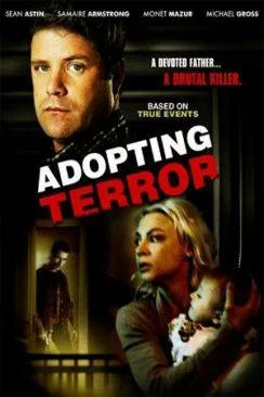 Affiche du film Adoption à  risques en streaming