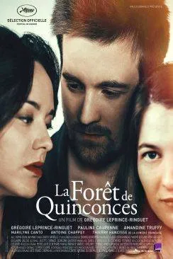 Affiche du film La Forêt de Quinconces en streaming