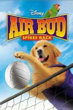 Affiche du film Airbud 5 : superstar (Air Bud : Spikes Back) en streaming