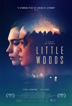 Affiche du film Little Woods en streaming