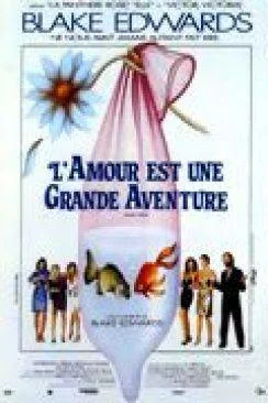 poster L'Amour est une grande aventure (Skin Deep)