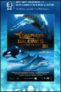 poster Dauphins et baleines 3D, nomades des mers