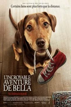 poster film L'Incroyable aventure de Bella (A Dog?s Way Home)