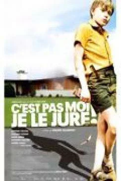 Affiche du film C'est pas moi, je le jure ! en streaming