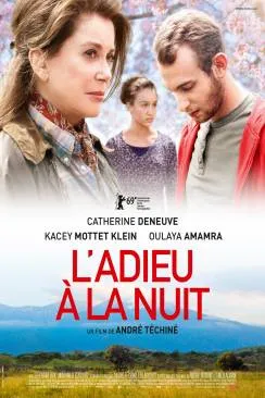 Affiche du film L'Adieu à  la nuit en streaming