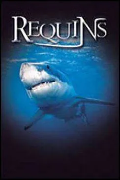 poster film Le Monde des requins - Requins 3D (Sharks 3D)