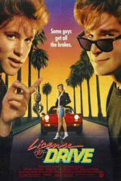 poster film License to drive