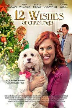 Affiche du film Les Douze voeux de Noël (TV) (12 Wishes of Christmas (TV)) en streaming