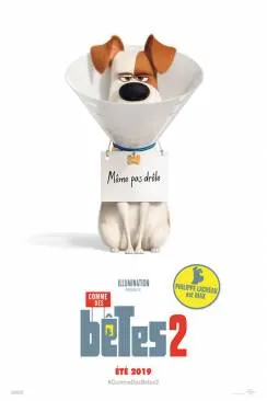 poster film Comme des bêtes 2 (The Secret Life of Pets 2)