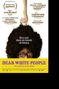 Affiche du film Dear White People en streaming