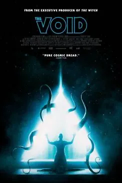 poster The Void