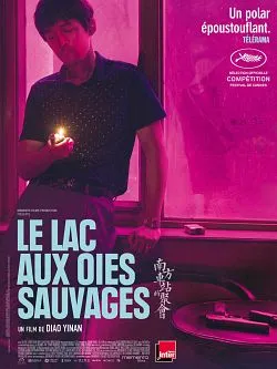 Affiche du film Le Lac aux oies sauvages en streaming