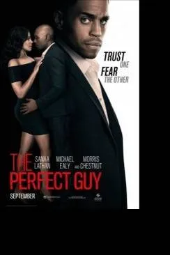 Affiche du film The Perfect Guy en streaming