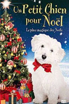 Affiche du film Un Petit chien pour Noël (Christmas Spirit) en streaming