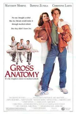 poster Gross anatomy