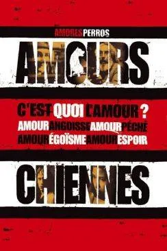 poster film Amours chiennes (Amores perros)