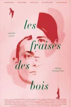 poster film Les Fraises des bois