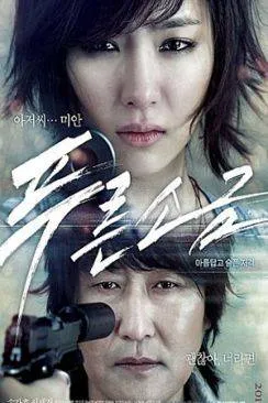 poster Hindsight (Poo-reun so-geum)