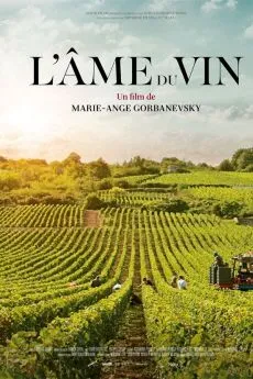 poster film L'à‚me du vin