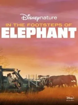 poster Sur la Route des Eléphants