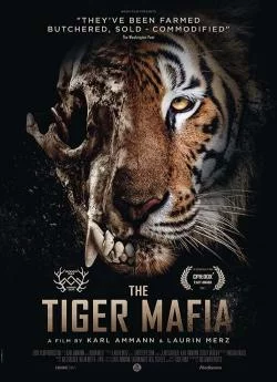 Affiche du film La mafia du tigre en streaming