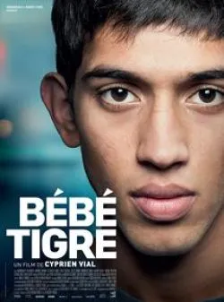 poster film Bébé Tigre