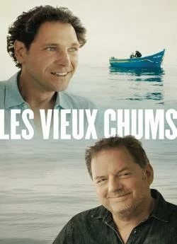 poster Les vieux chums