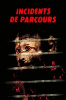 Affiche du film Incidents de parcours en streaming