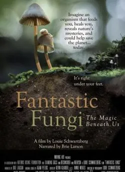 poster Fantastic Fungi