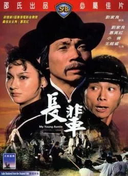 Affiche du film Lady kung fu en streaming