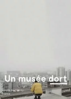 poster film Un Musée dort