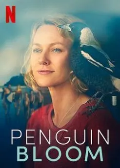 poster film Penguin Bloom