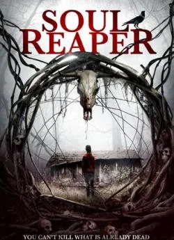 poster film Soul Reaper