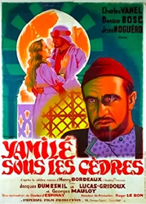 poster film Yamilé sous les caprèsdres