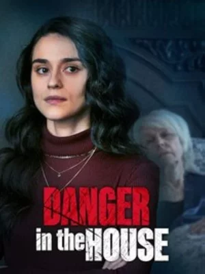 poster film Danger in the House