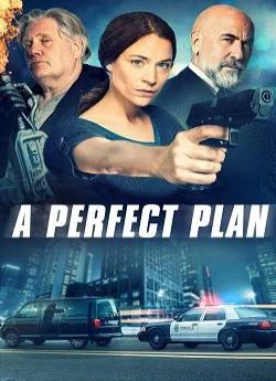 Affiche du film A Perfect Plan en streaming