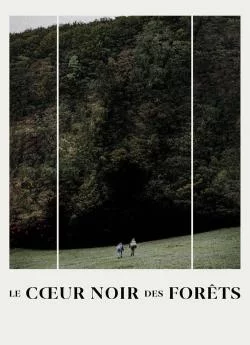 Affiche du film Le Coeur noir des forêts en streaming