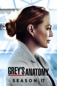 affiche série Grey's Anatomy - Saison 17