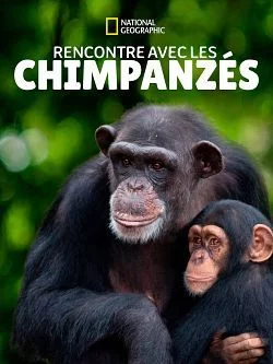 affiche série Rencontre avec les chimpanzés - Saison 1