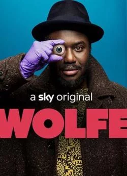 affiche série Wolfe - Saison 1