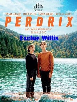 poster film Perdrix