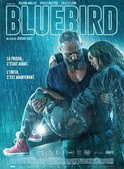 poster film Bluebird