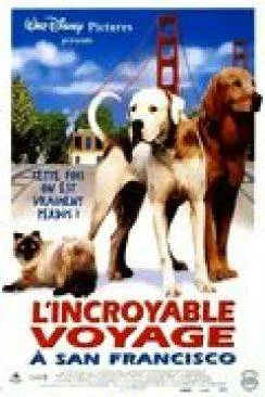 poster film L'Incroyable Voyage à  San Francisco (Homeward Bound II : Lost in San Francisco)