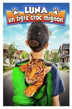 poster film A Tiger's Tail