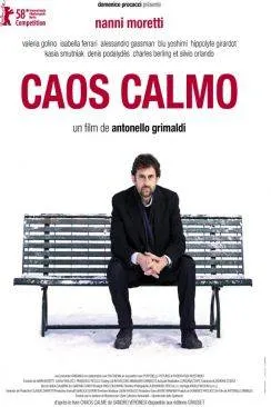 poster film Caos Calmo