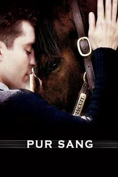 poster film Pur Sang, la légende de Seabiscuit (Seabiscuit)